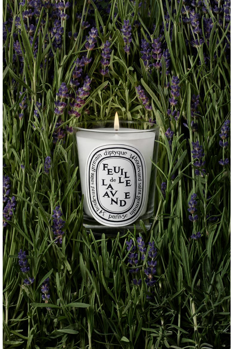 Feulle de Lavande (Lavender Leaf) Scented Candle, Alternate, color, NO COLOR