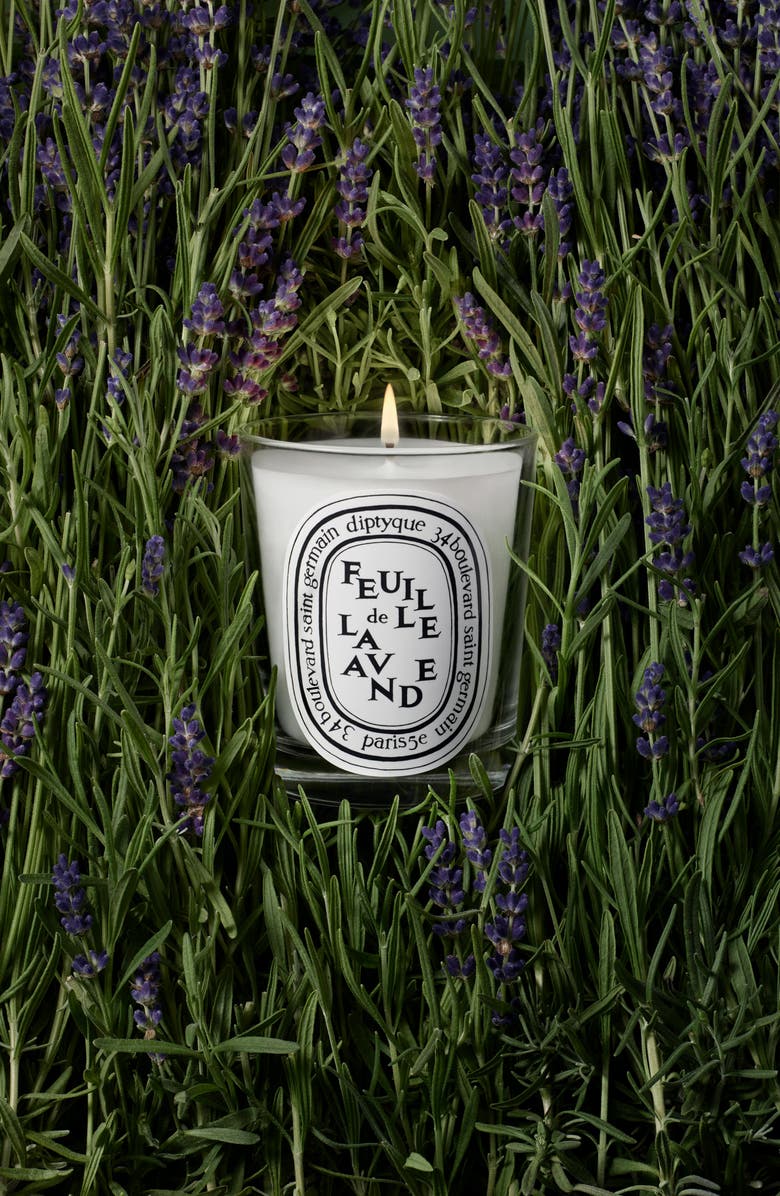 Diptyque Feulle de Lavande (Lavender Leaf) Scented Candle, Alternate, color, 