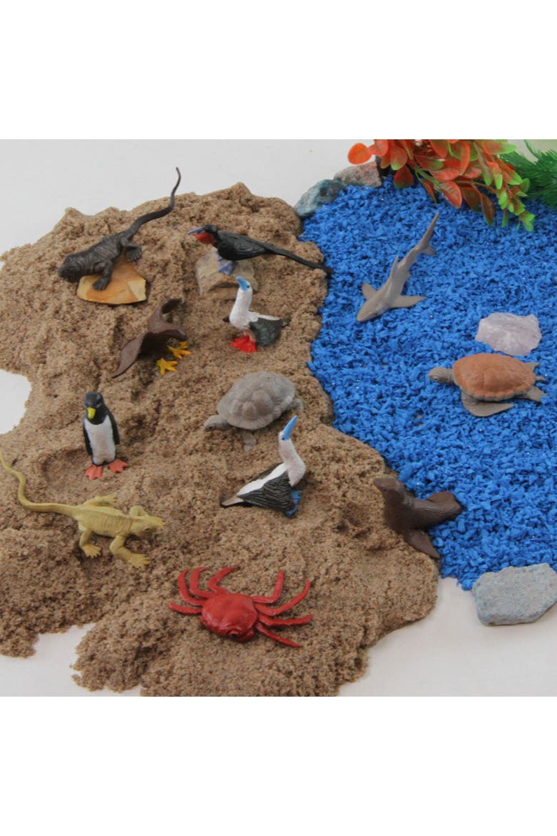 Galapagos Toy, Alternate, color, No Color
