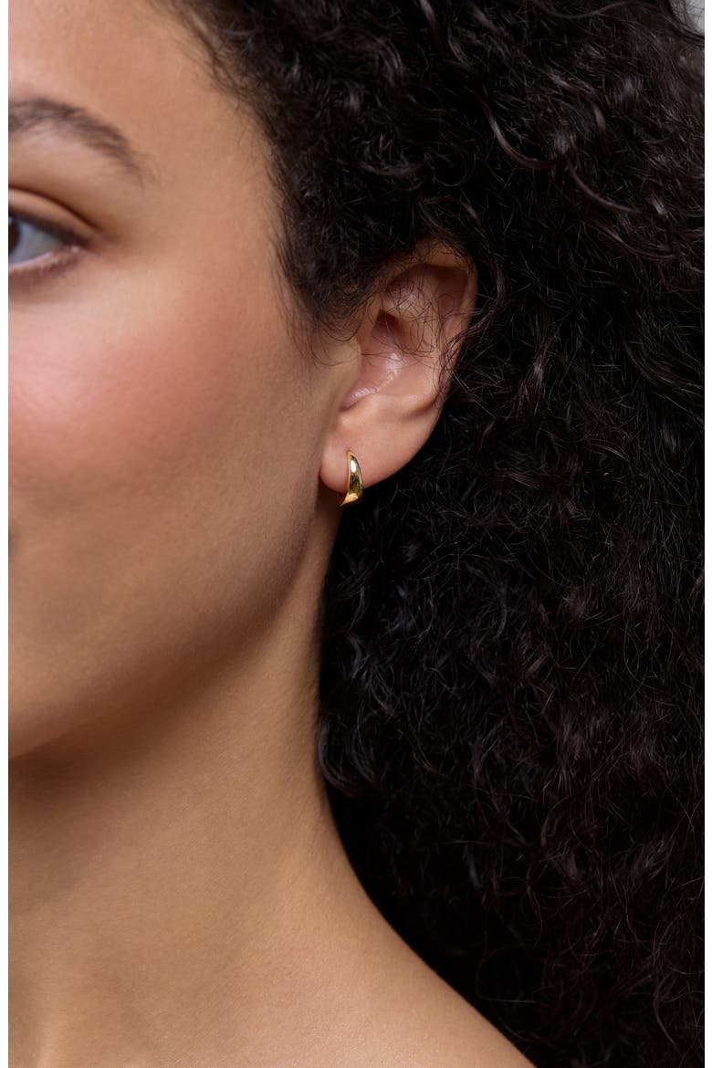 14K Gold Graduated Hoop Earrings, Alternate, color, 14K YELLOW GOLD