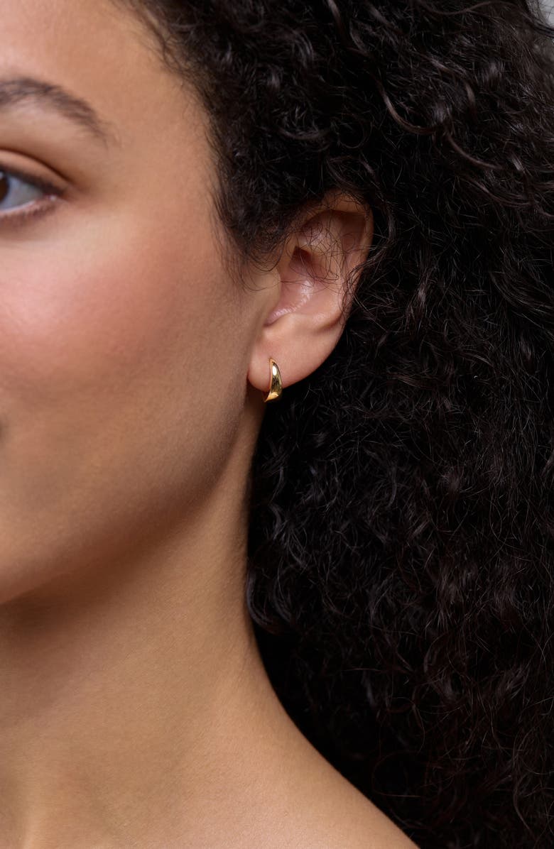 Bony Levy 14K Gold Graduated Hoop Earrings, Alternate, color, 14K Yellow Gold