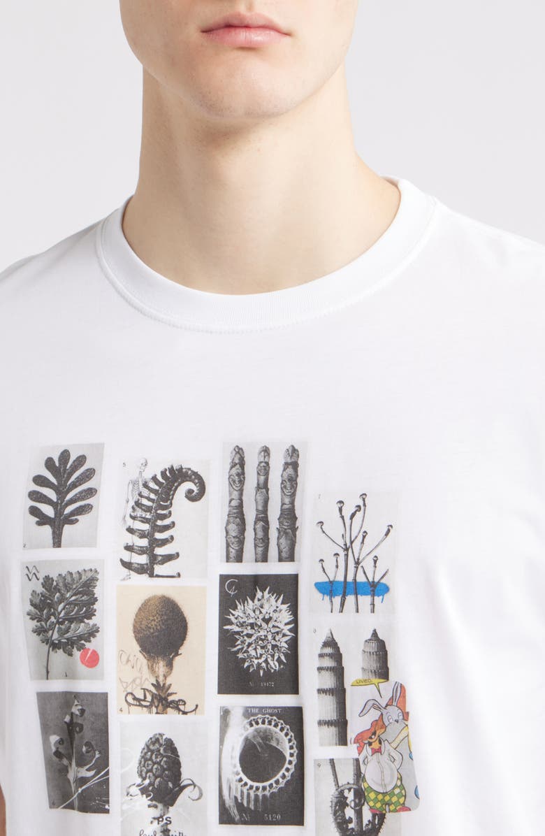 Paul Smith Regular Fit Desert Organic Cotton Graphic T-Shirt, Alternate, color, White