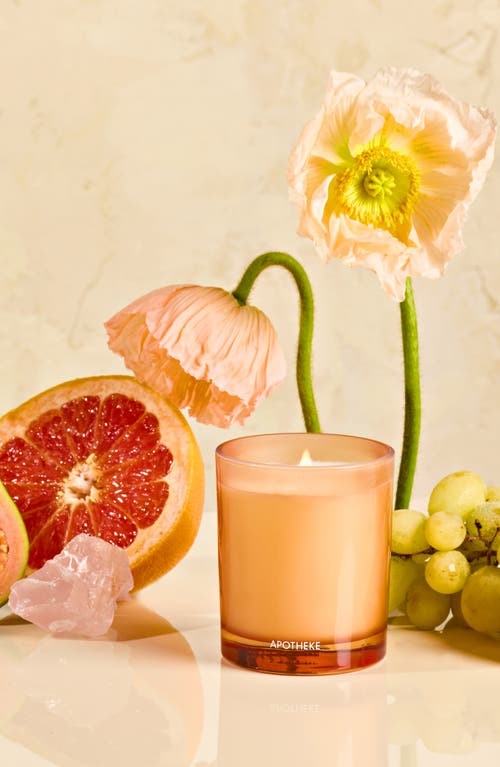 Apotheke Sea Salt Grapefruit Petite Scented Candle In Orange