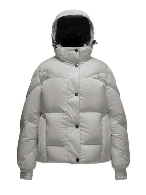 Triple F.a.t. Goose Puffer Down Jacket In Gray