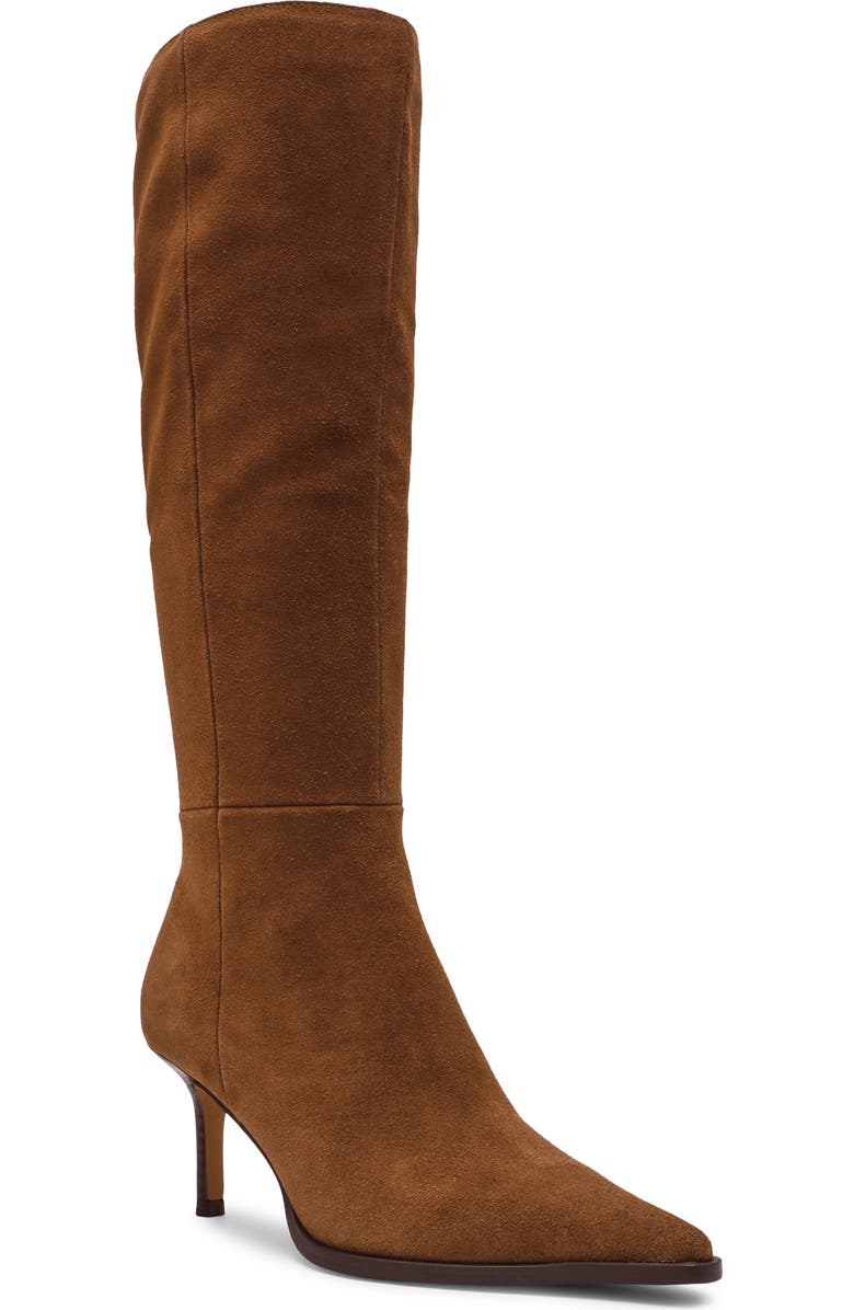 Steve Madden Lingo Pointed Toe Knee High Boot, Main, color, Chestnut Suede