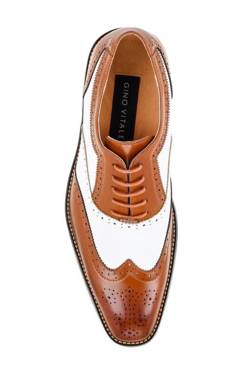 Gino Vitale Two-tone Wingtip Oxford In Brown