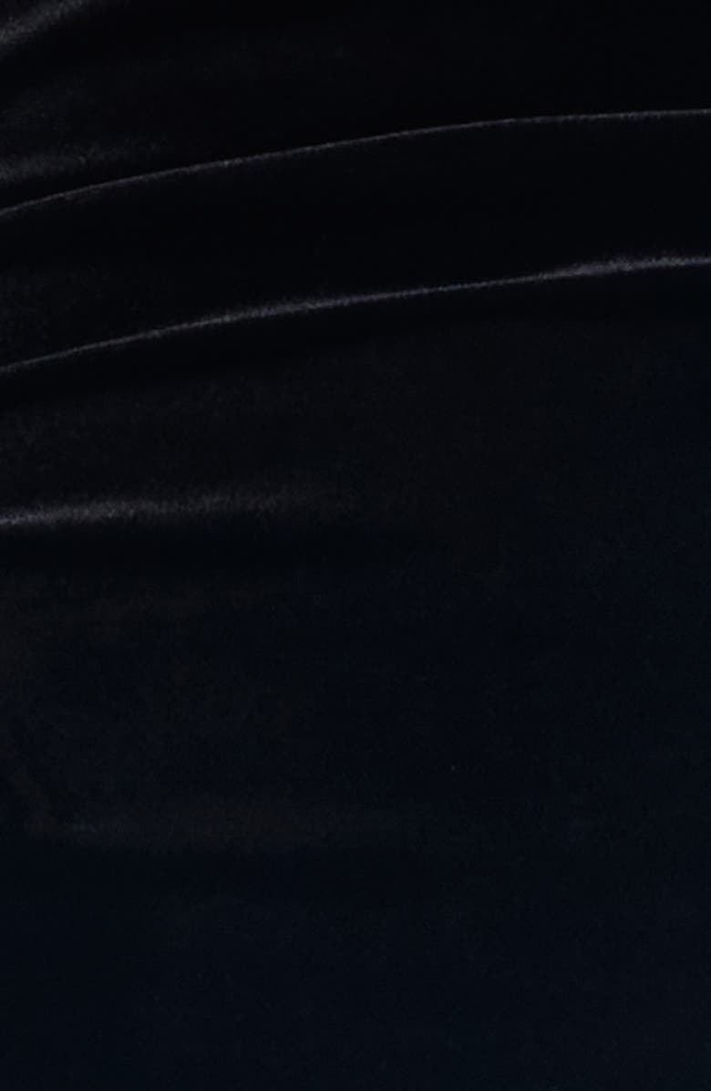 LIONESS Field of Dreams Off the Shoulder Velvet Maxi Dress, Alternate, color, Noir