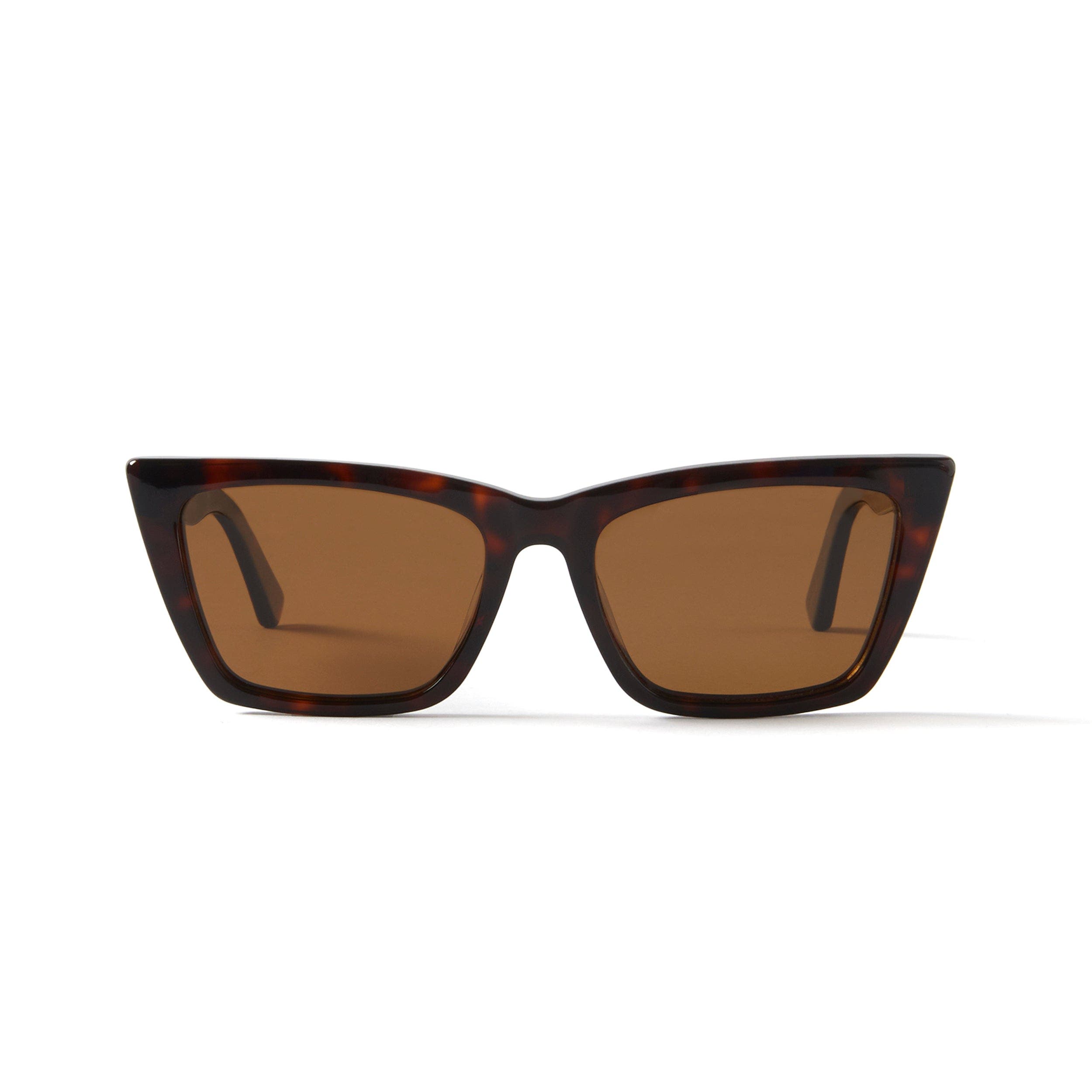 Tortoise / Brown
