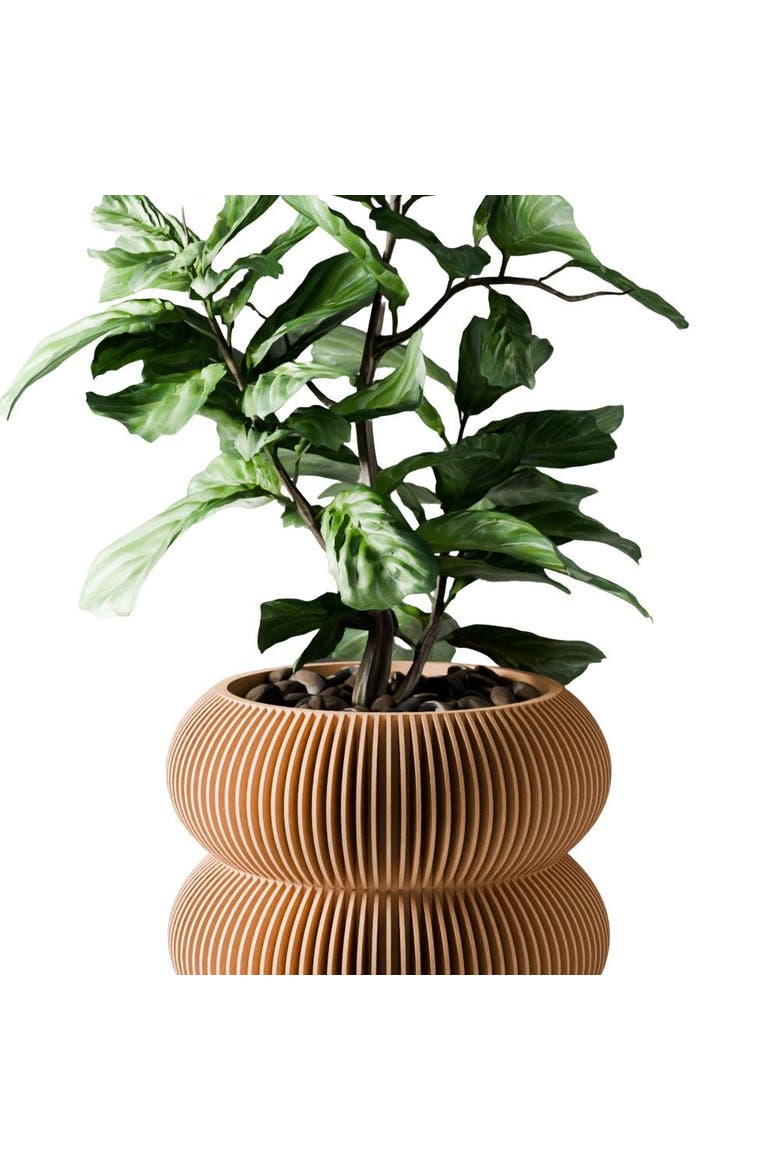 Double Bubbles Planter, Main, color, Natural Wood - 6"