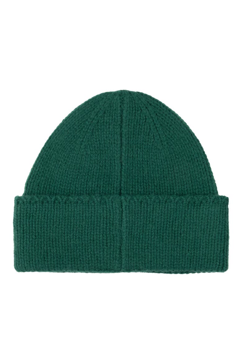 Pony Merino Wool Beanie, Alternate, color, BUSH GREEN