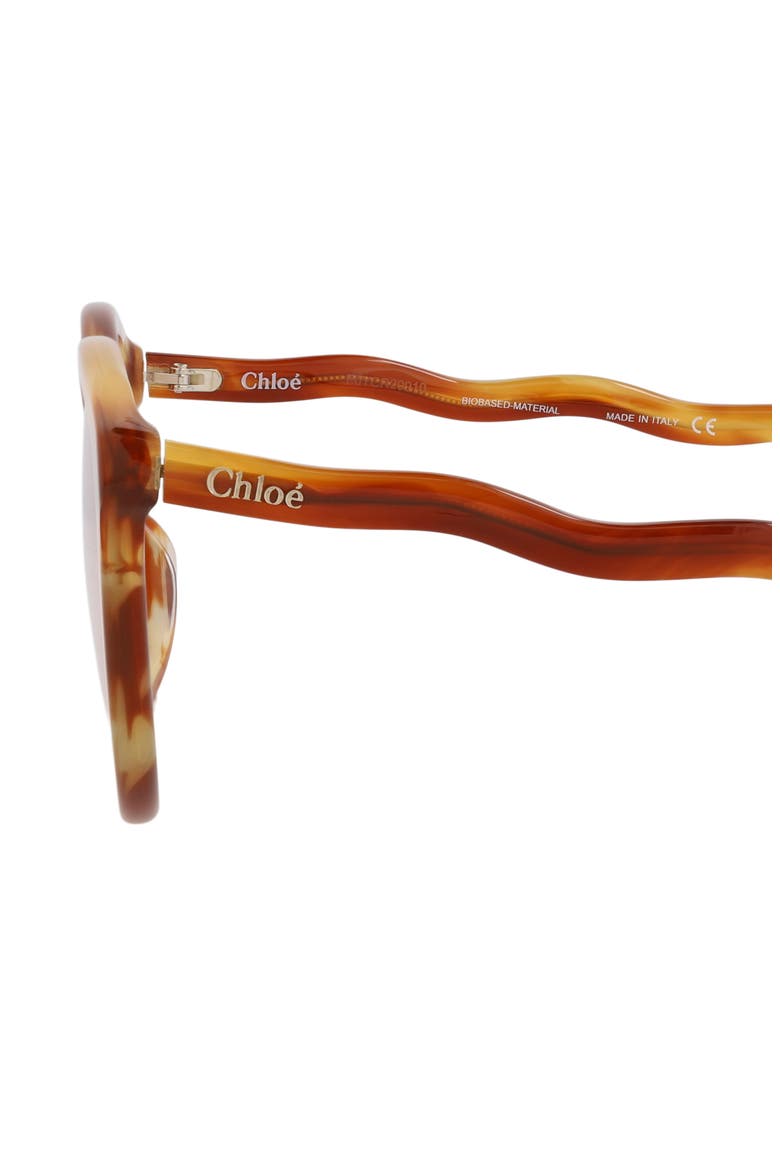 54mm Core Cat Eye Sunglasses, Alternate, color, HAVANA HAVANA TRANSPARENT