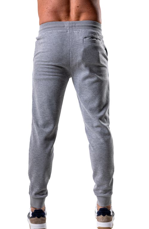 Maceoo Colorblock Joggers In Gray
