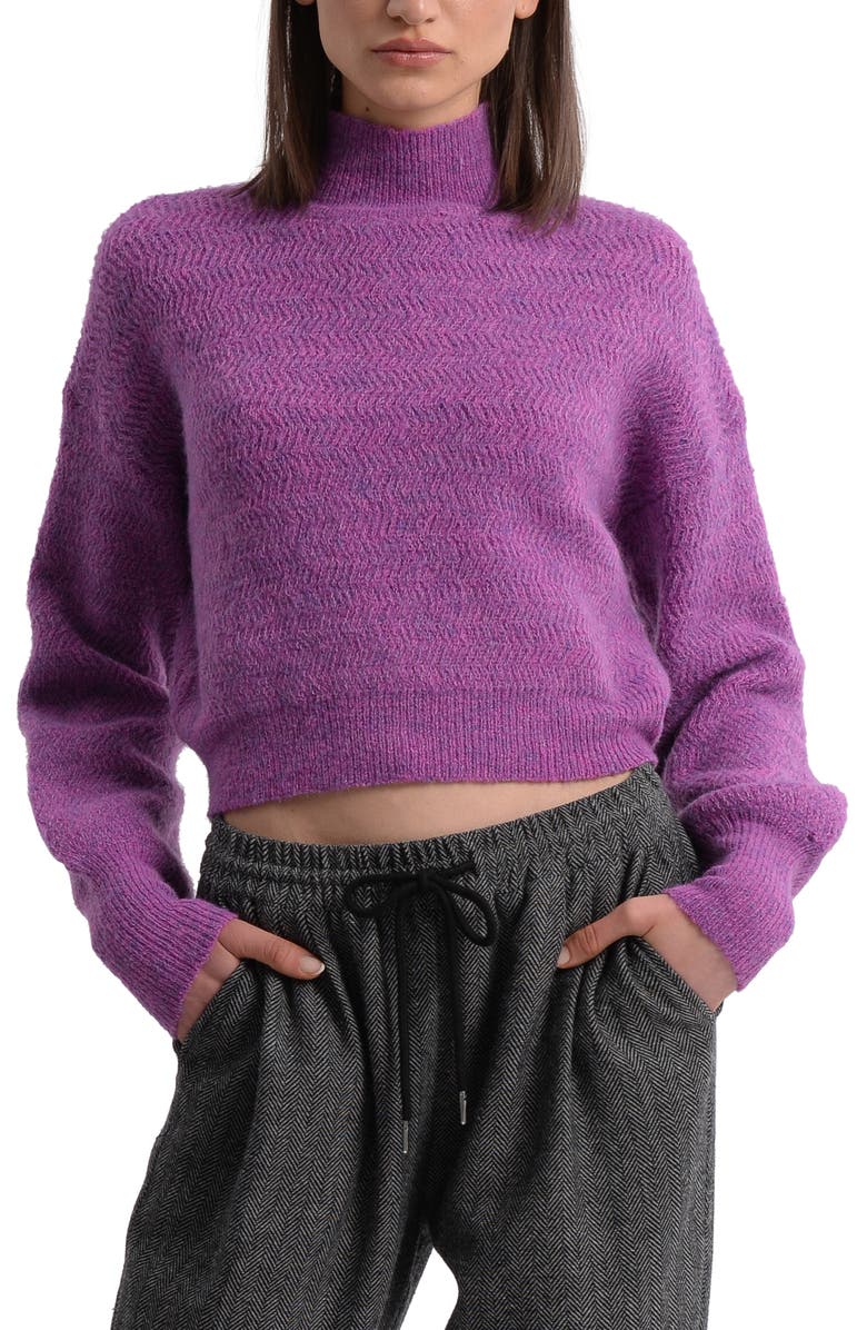 Molly Bracken Fuzzy Turtleneck Sweater, Main, color, 
