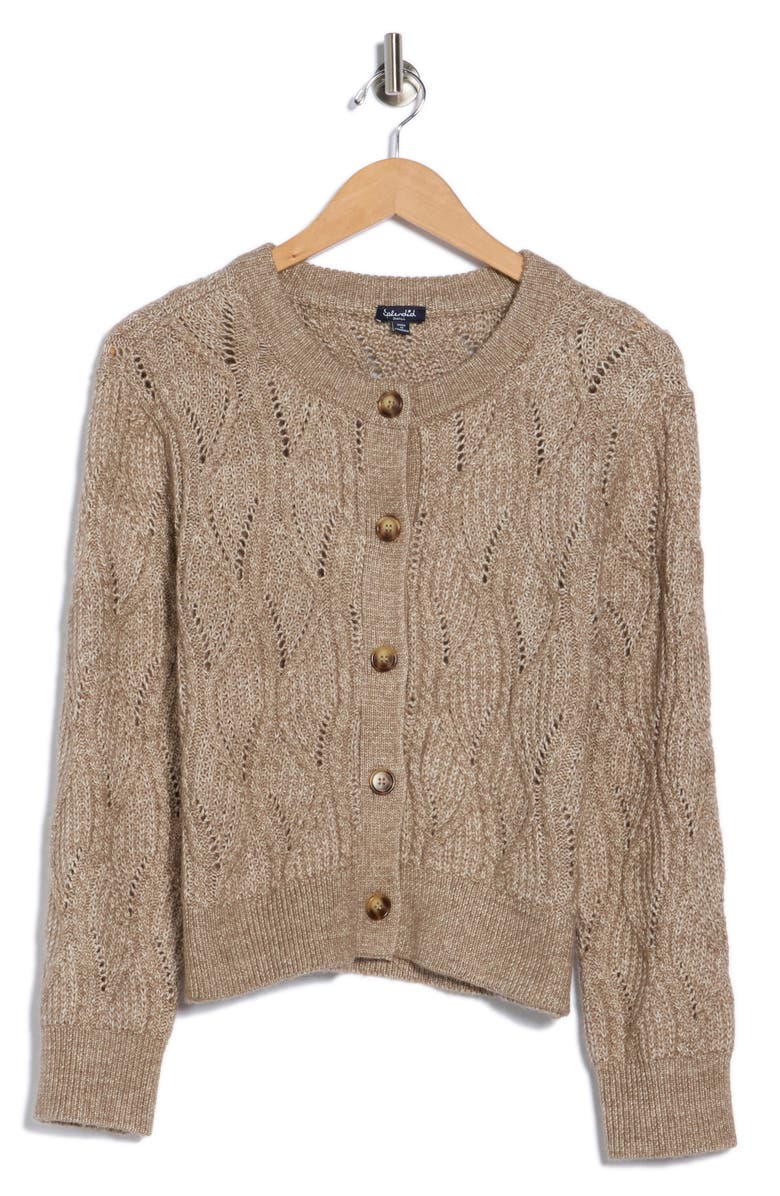 Splendid Novelty Button-Up Cardigan, Alternate, color, Dark Almond