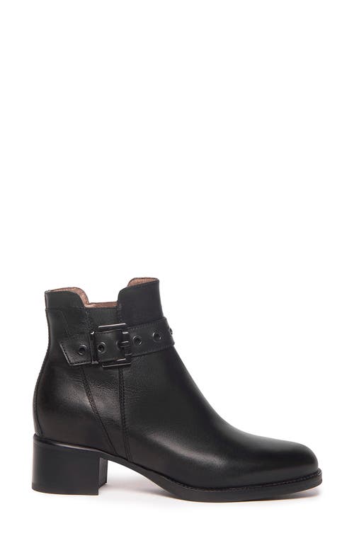Nerogiardini Buckle Bootie In Black