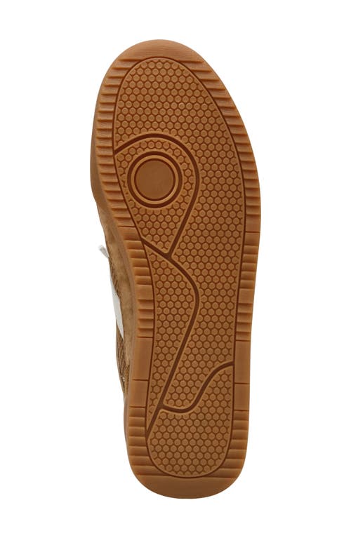 STEVE MADDEN STEVE MADDEN VERDICT MESH SNEAKER 