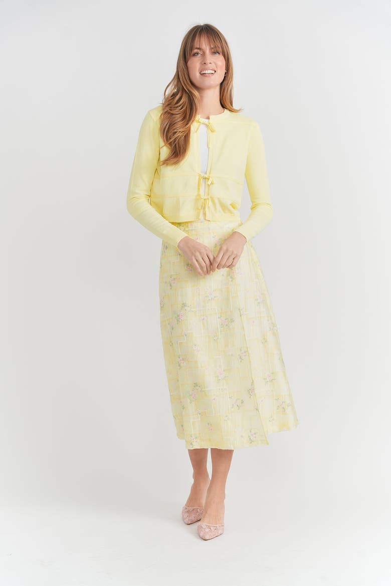 Embroidered Side Tie A-Line Skirt, Alternate, color, Butter