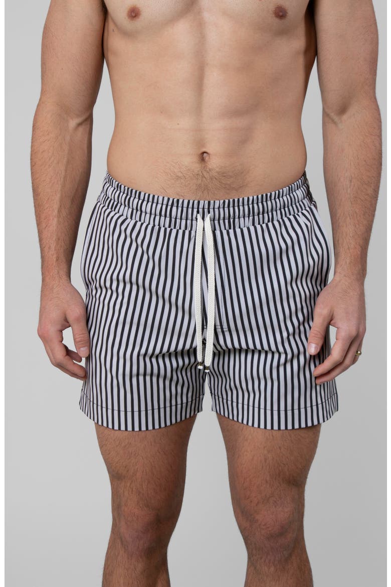 Espresso Swim Trunk, Main, color, Espresso