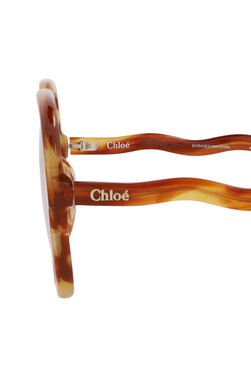 Chloé 54mm Core Square Sunglasses In Havana Havana Transparent
