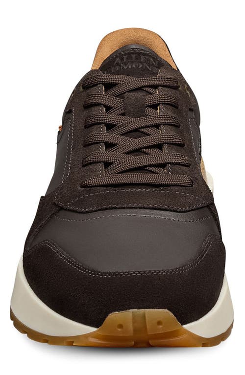 Allen Edmonds Lionel Low Top Sneaker In Brown