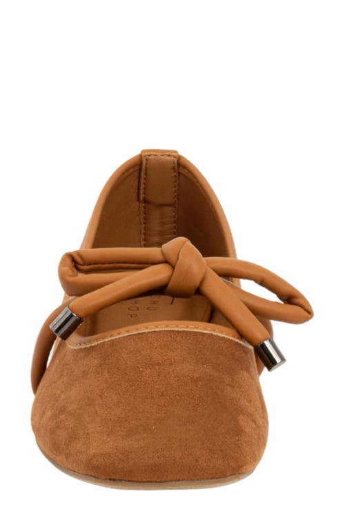 Shushop Adriana Square Toe Ballet Flat In Brown