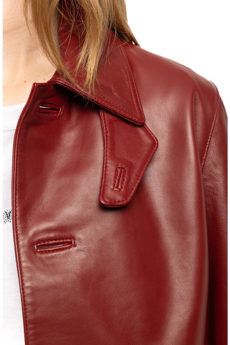 Lessa Leather Jacket, Alternate, color, CHERRY