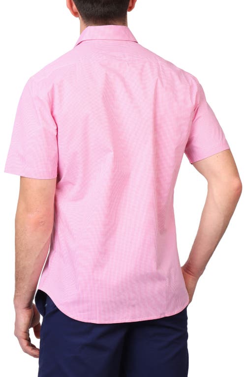 Tailorbyrd Micro Gingham Short Sleeve Button-up Shirt In Rose Pink