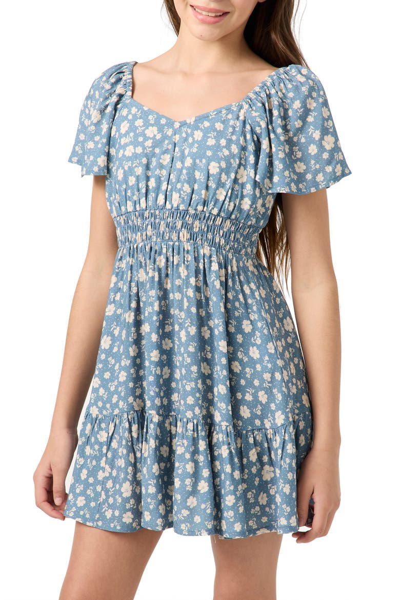 Kids' Langley Primrose Floral Dress, Alternate, color, PROVINCIAL BLUE