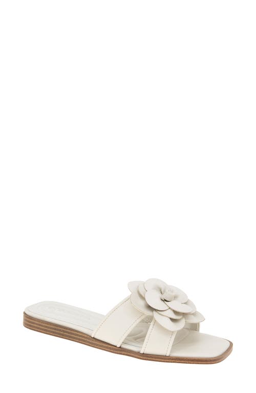 Bcbg Mazey Slide Sandal In Stone