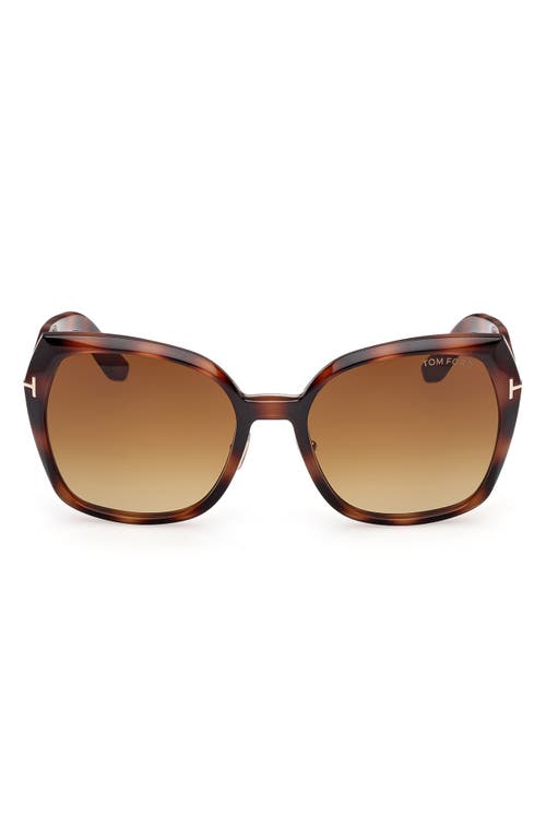 Tom Ford Plum 58mm Gradient Butterfly Sunglasses In Brown
