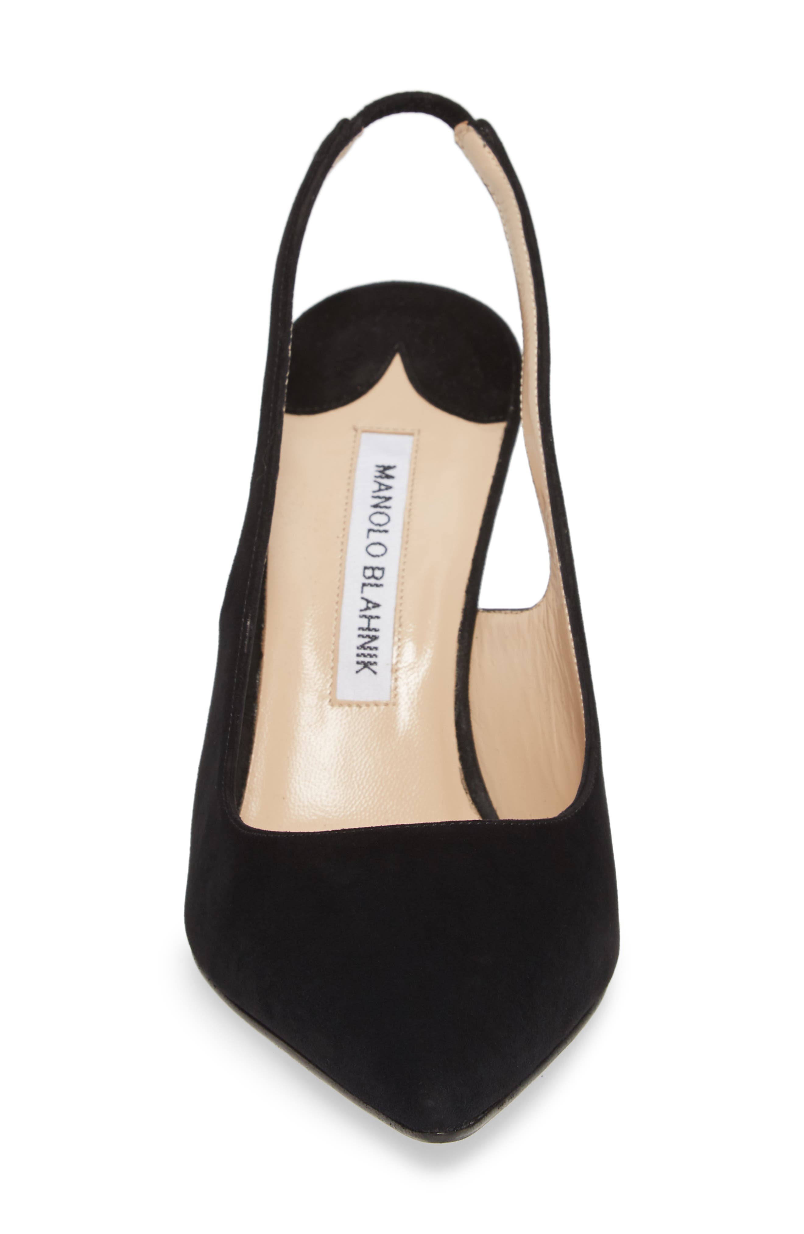 Manolo Blahnik Allura Slingback Pointed Toe Pump, Alternate, color, 