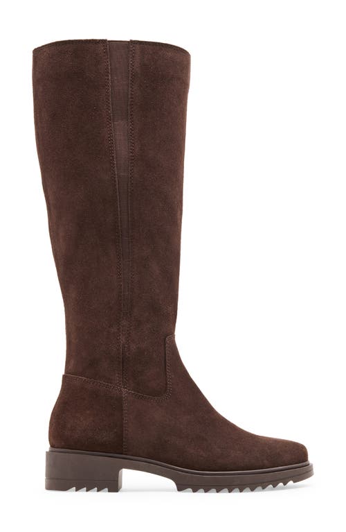 Blondo Ciana Waterproof Knee High Riding Boot In Brown