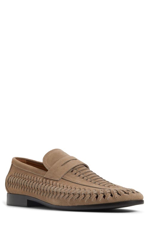 ALDO ALDO DANILO WOVEN PENNY LOAFER