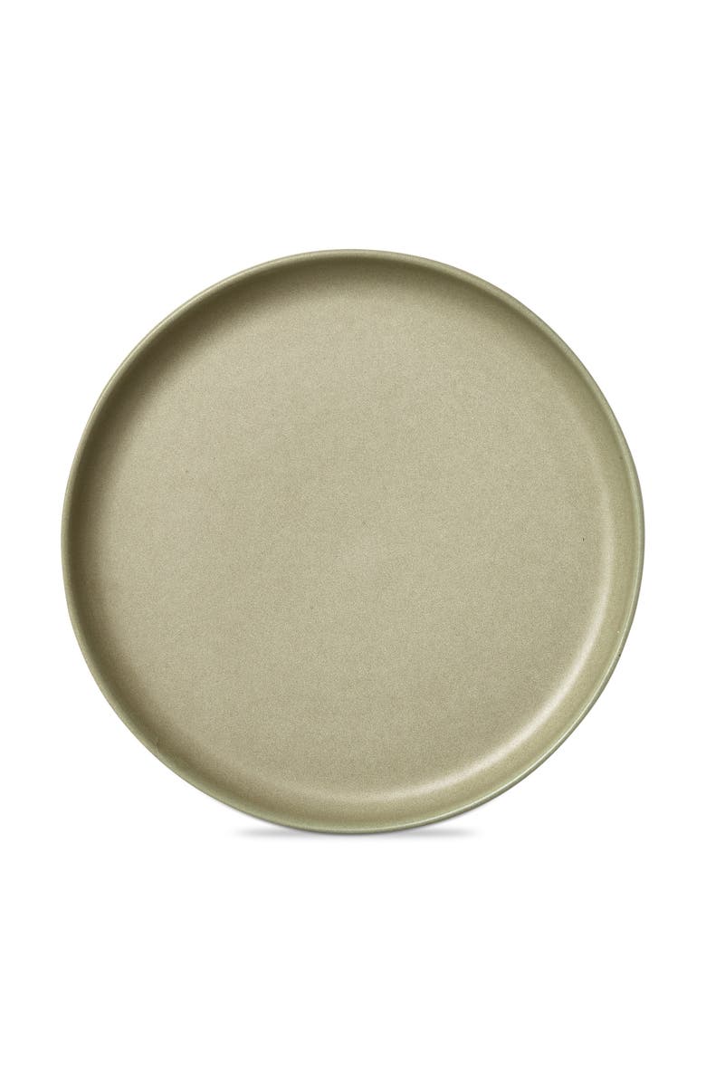 tag Logan Dinner Plate Stoneware Dishwasher Safe Sage Green, Main, color, Brown