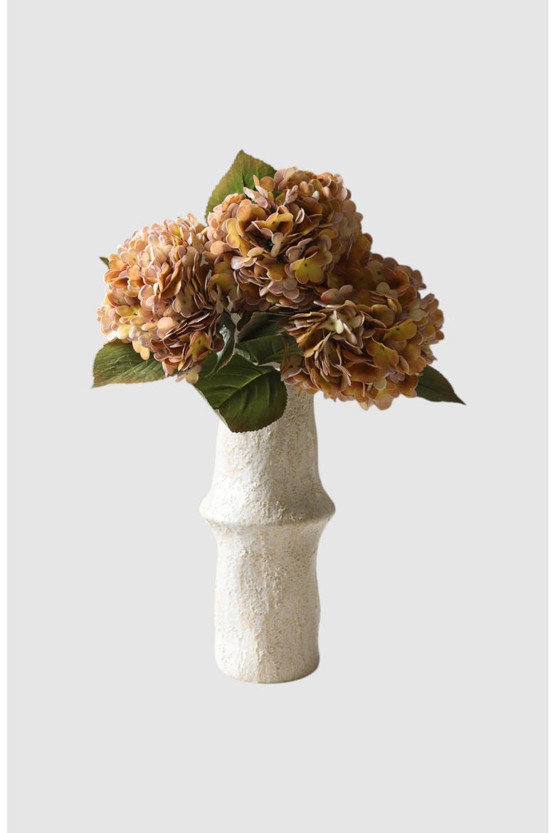 Orange Hydrangea Flower, Alternate, color, Orange