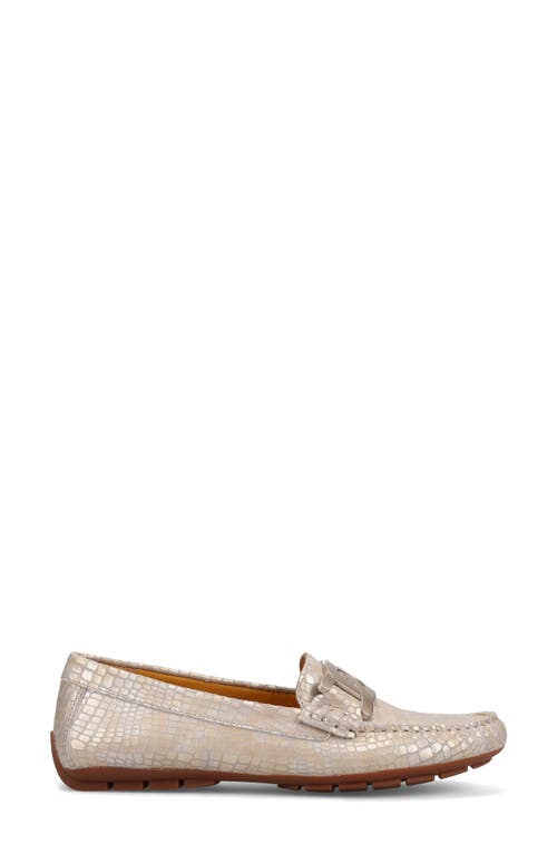 Vaneli Aiker Driving Loafer In Champagne