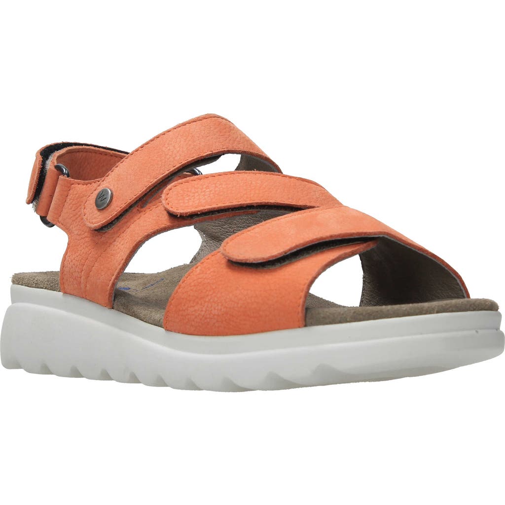 Wolky Ikaria Ankle Strap Platform Wedge Sandal In Light Orange Nubuck