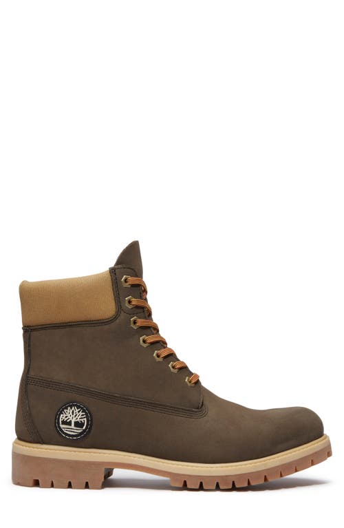 Timberland Premium 6-inch Waterproof Boot In Brown