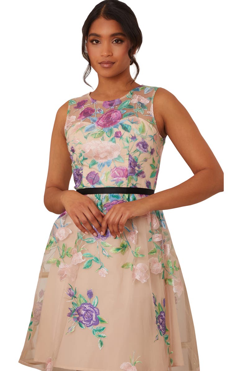 Chi Chi London Embroidered Sleeveless Organza Cocktail Dress, Alternate, color,