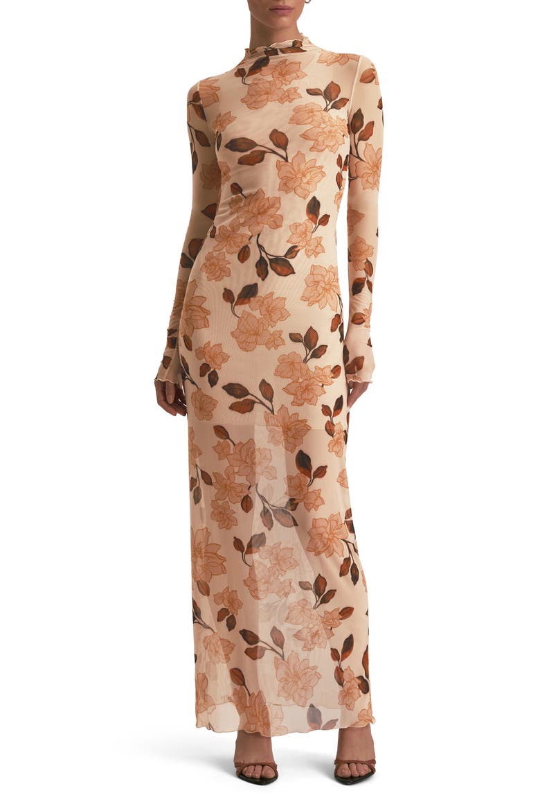 The Sheer Fantasy Floral Long Sleeve Mesh Maxi Dress, Main, color, BARE ROSES