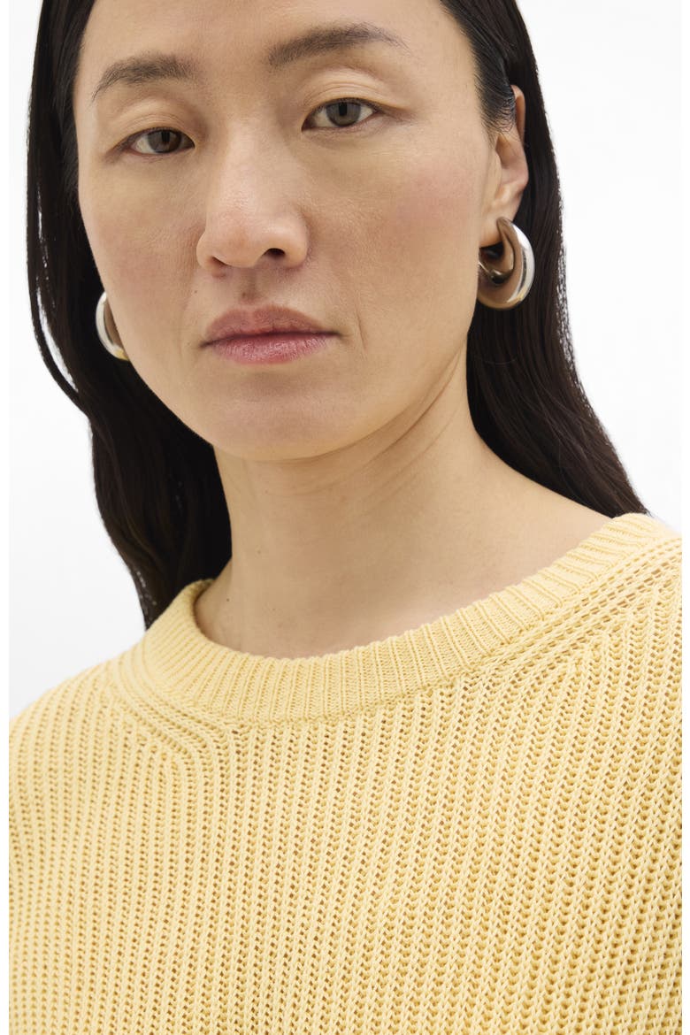 Draped Crew Knit, Alternate, color, Sun