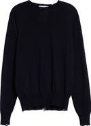 Stella McCartney Distressed Merino Wool Sweater