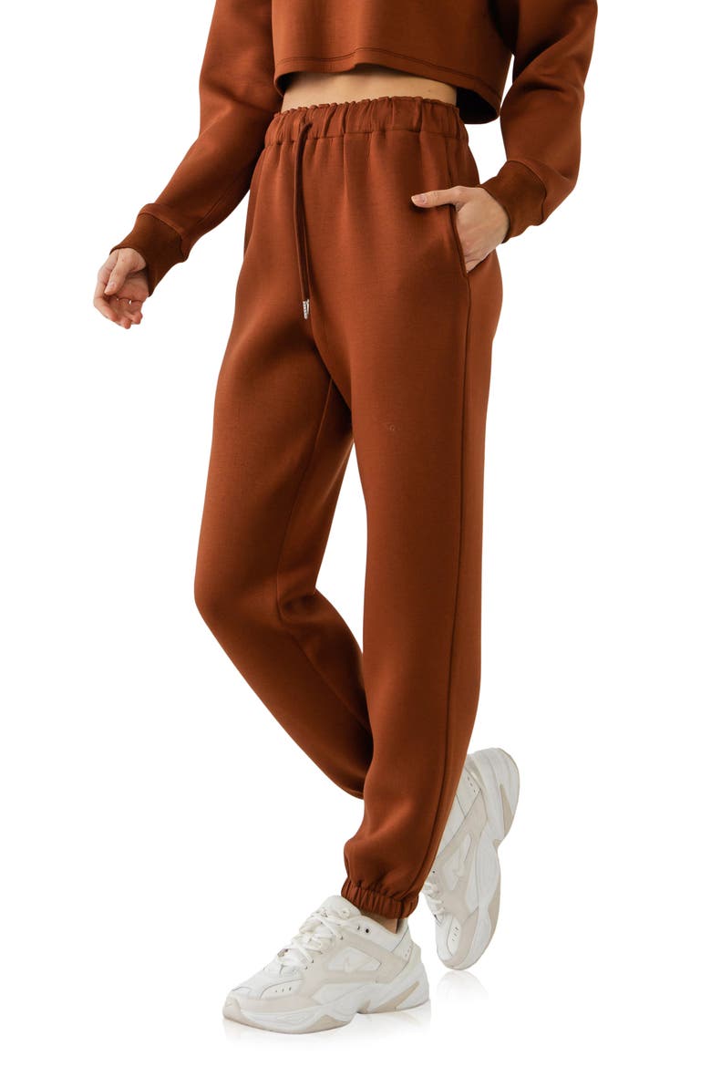 Drawstring Joggers, Alternate, color, BROWN