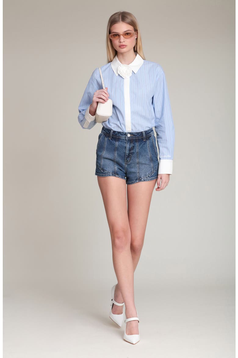 Rose Stripe Shirt, Alternate, color, BLUE-WHITE STRIPE MULTI