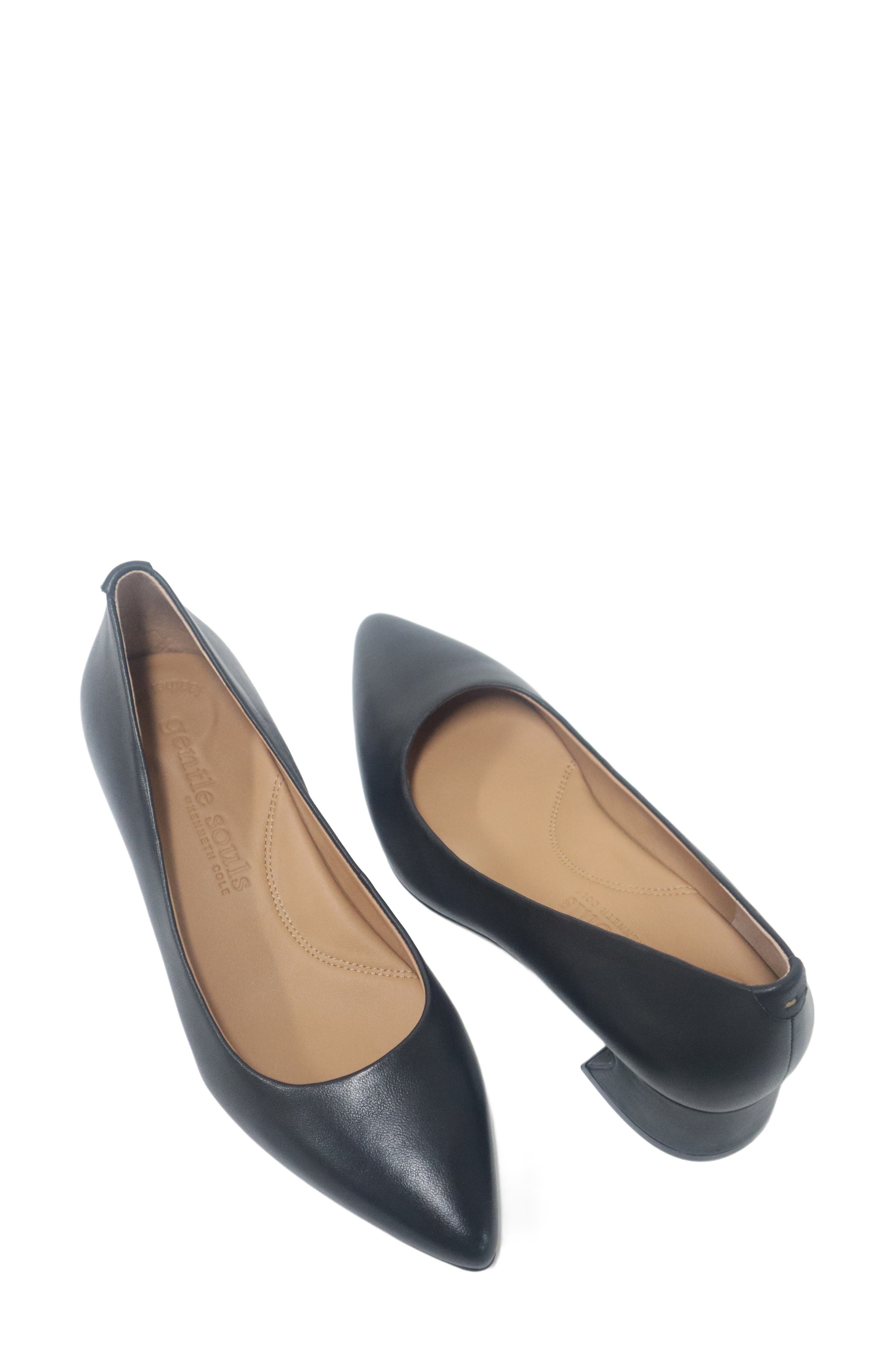 Gardena Pointed Toe Pump, Alternate, color, BLACK LEATHER