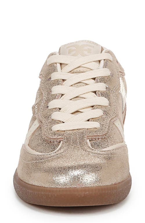 Shop Sam Edelman Kallen Sneaker In Cyprus Gold