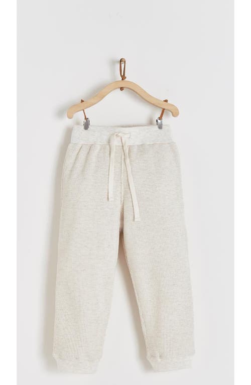 Babycottons Pima Cotton Waffle Knit Pants Samoa In Neutral