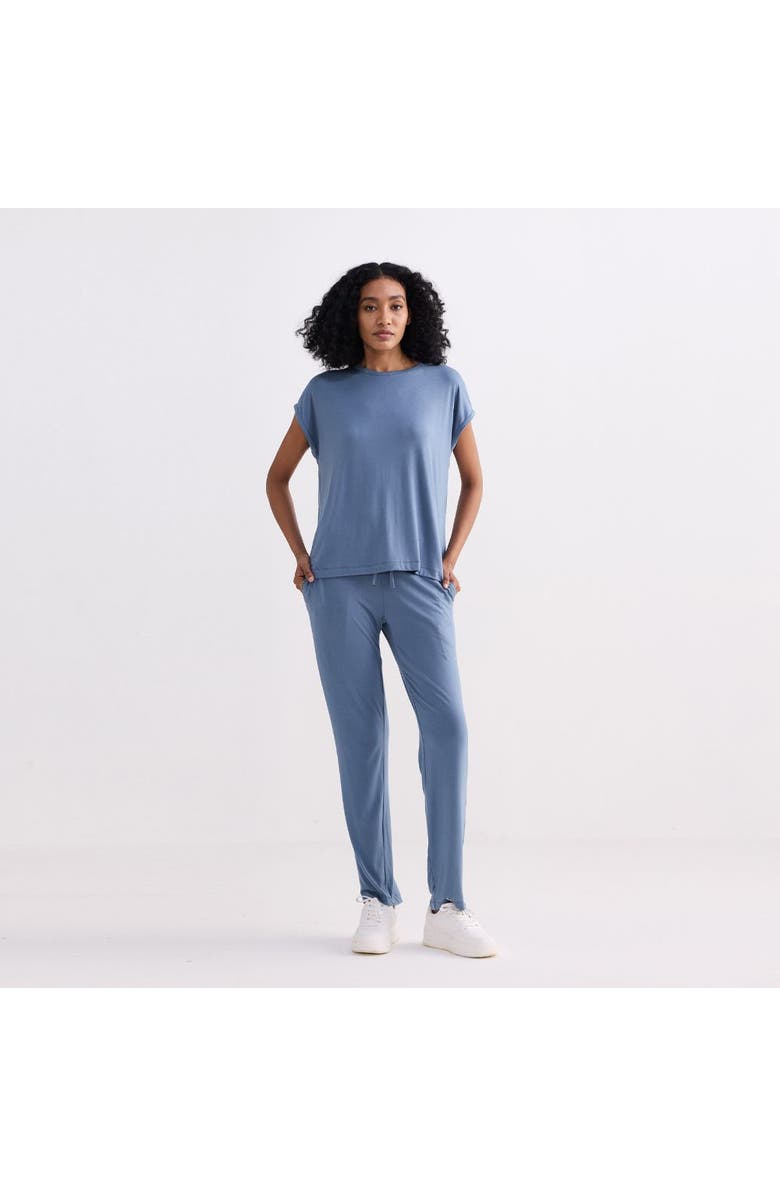 Reistor Relaxed Tee in Blue, Alternate, color, Blue Solid