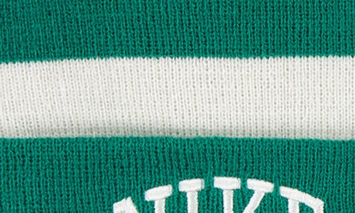 Nike Chunky Stripe Peak Beanie In Green