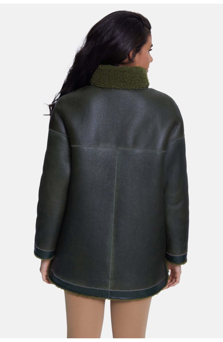 Furniq UK Simone Shearling Jacket, Alternate, color, Green